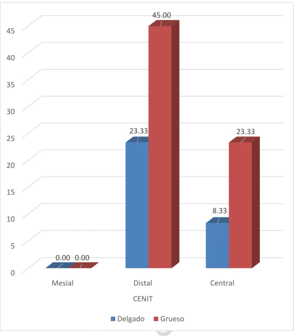 GRÁFICO Nº 7 