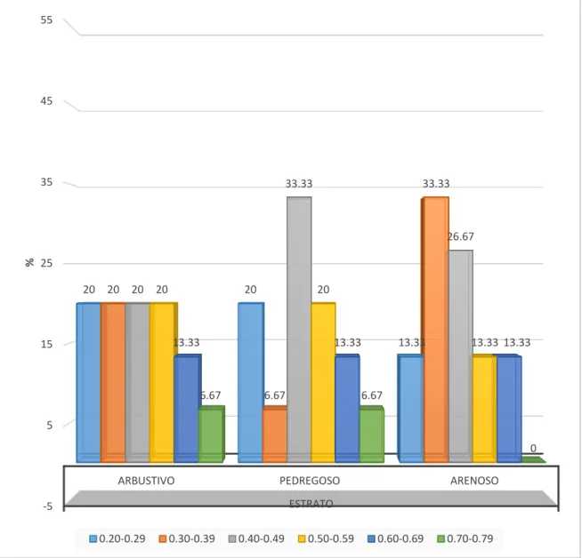 GRÁFICO Nº 6 