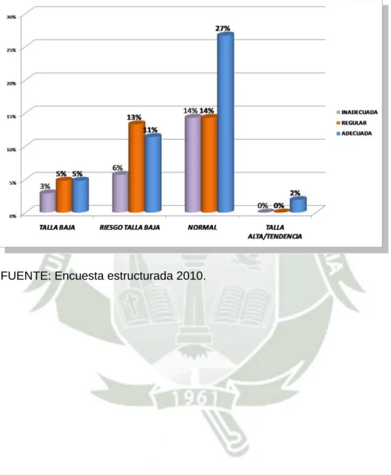 GRÁFICO Nº 10 