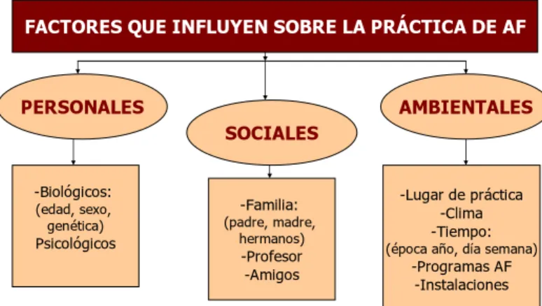 Gráfico 1: Factores que influyen sobre la práctica de actividad física (Delgado y Tercedor,  2002:75)