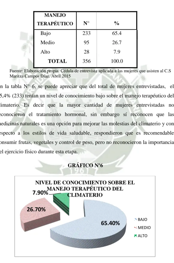 GRÁFICO Nº6 