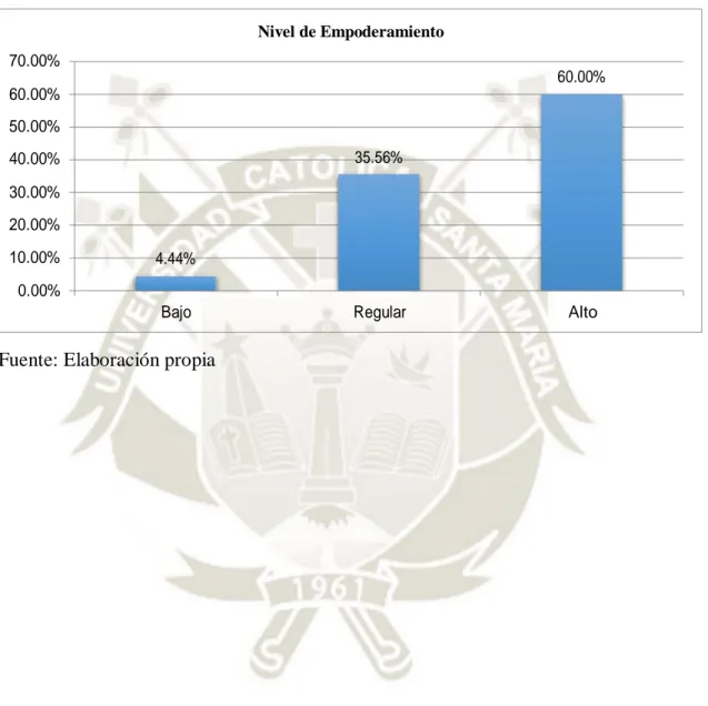 GRÁFICO N° 5 