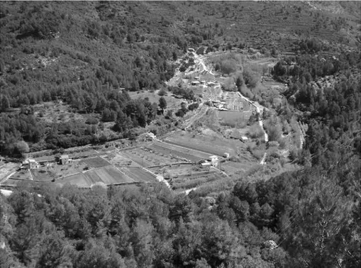 Fig. 1. Horta de muntanya al fons de la vall (Llucena, l’Alcalatén). Foto Sergi Selma  Castell.