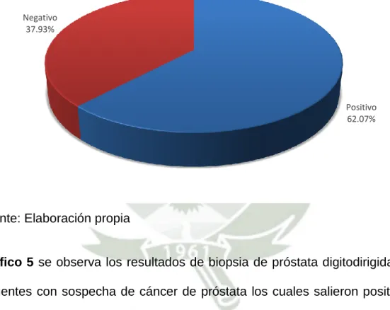 Gráfico 5 