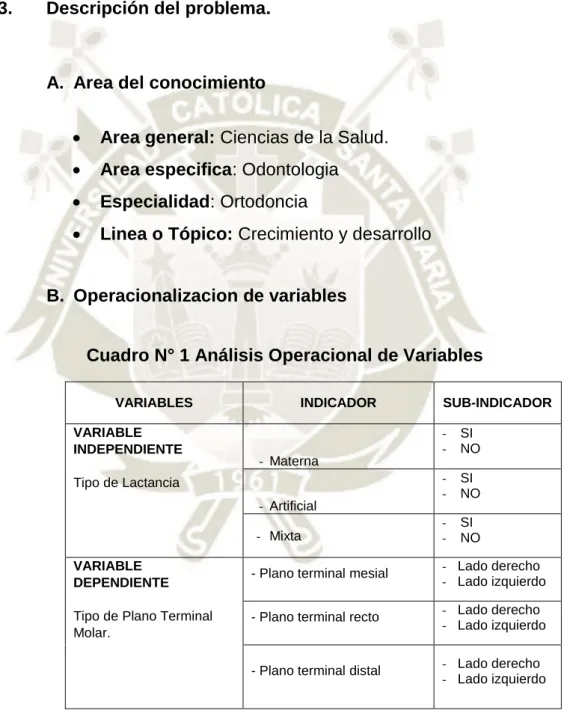 Cuadro N° 1 Análisis Operacional de Variables 