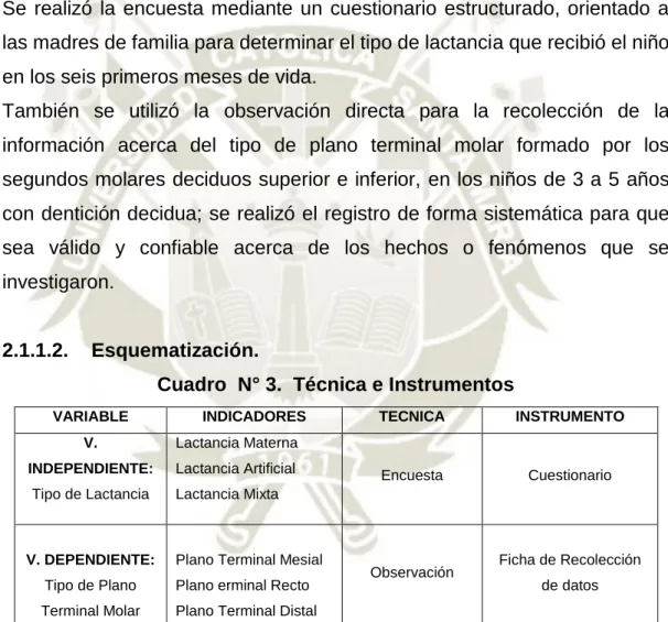 Cuadro  N° 3.  Técnica e Instrumentos 