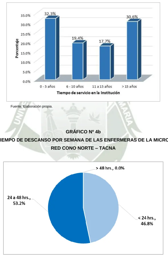 GRÁFICO Nº 4b 