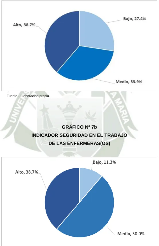 GRÁFICO Nº 7b 