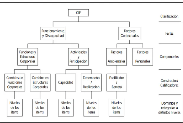 Gráfico 1. Funcionamiento del individuo según la condición de salud y los factores contextuales