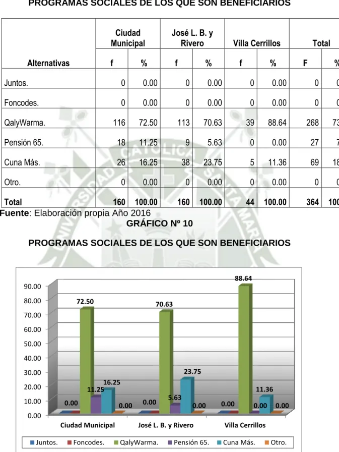 GRÁFICO Nº 10 