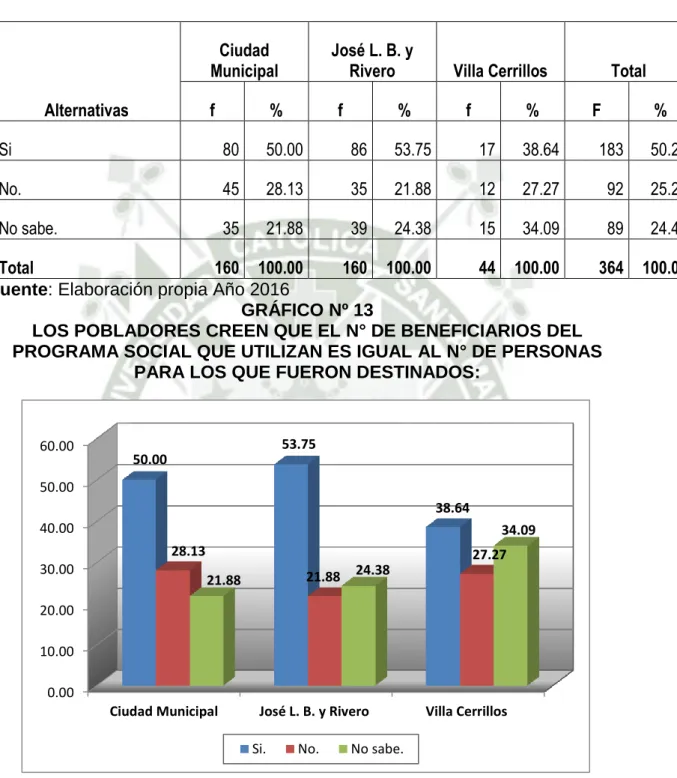 GRÁFICO Nº 13 