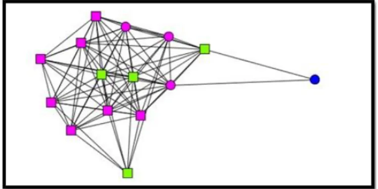 Figura 3. Representación visual de la red P4  Fuente: elaboración propia 