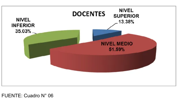 GRÁFICO N°  06 