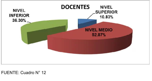 GRÁFICO N°  12 