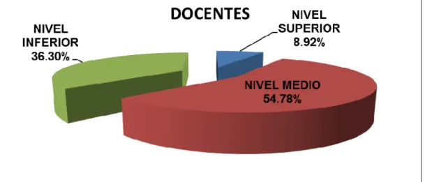 GRÁFICO N°  14 