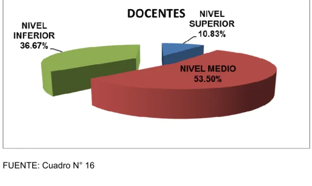 GRÁFICO N°  16 