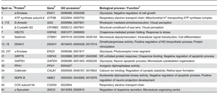 Table 3. Function of differentially-expressed identified proteins.