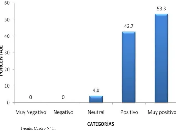 GRÁFICO N° 11 