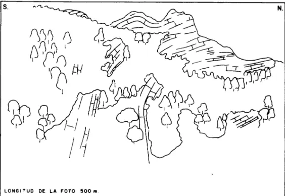 Figura .- 2.4 Flonco 0 de¡ anticlinal de Corroscollono.