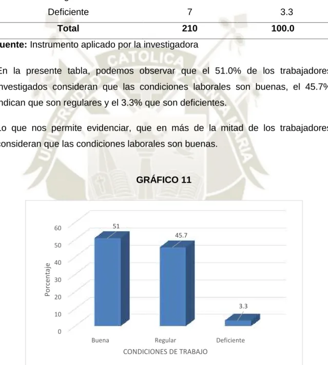 GRÁFICO 11