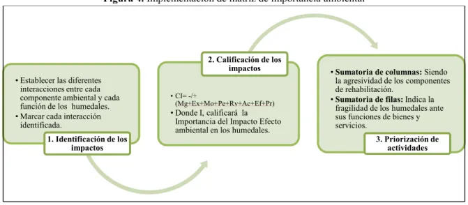 Figura 4. Implementación de matriz de importancia ambiental 