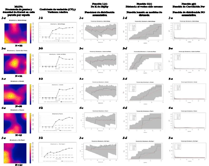 Figura 5. Patrones de distribución espacial de Brosimum utile en las parcelas de Bahía Málaga, Cantón San Pablo, Mutatá, Pizarro, Río Pepé I