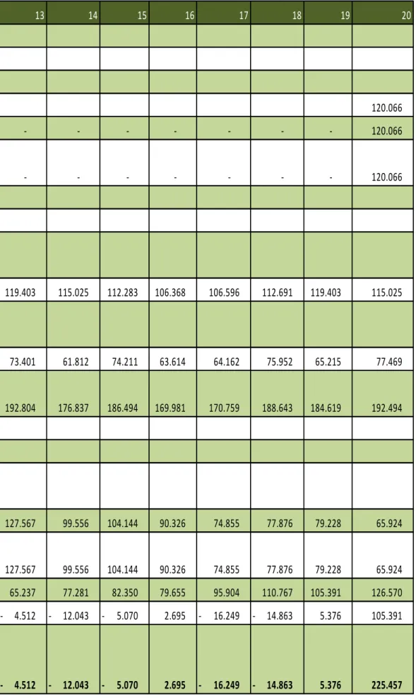 Tabla 13.- Desglose del CFE del proyecto sin financiar. 
