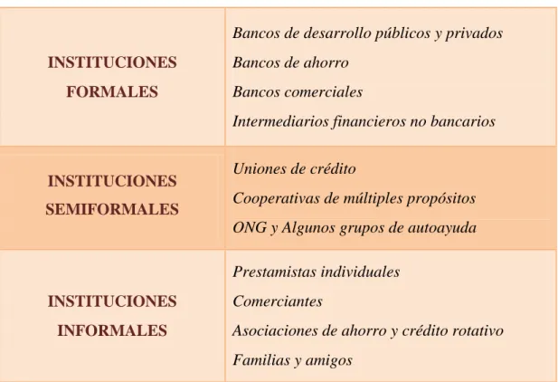 Figura 6. Tipos de instituciones microfinancieras 