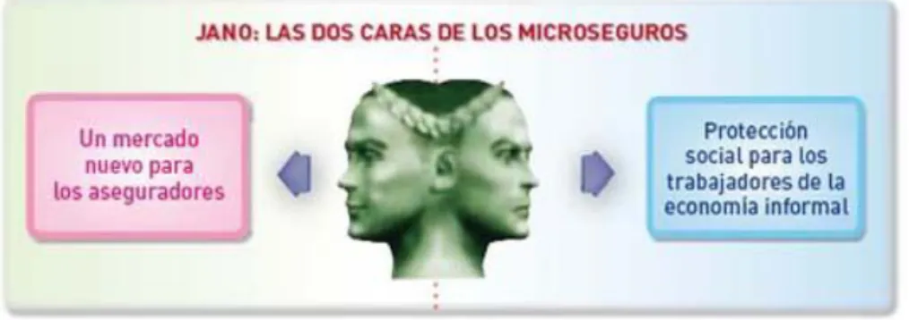 Figura 8. Las dos caras de los microseguros 