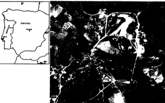 Figura  1.  Localização e vista aérea da área mineira da Cunha Baixa (Viseu, Portugal)