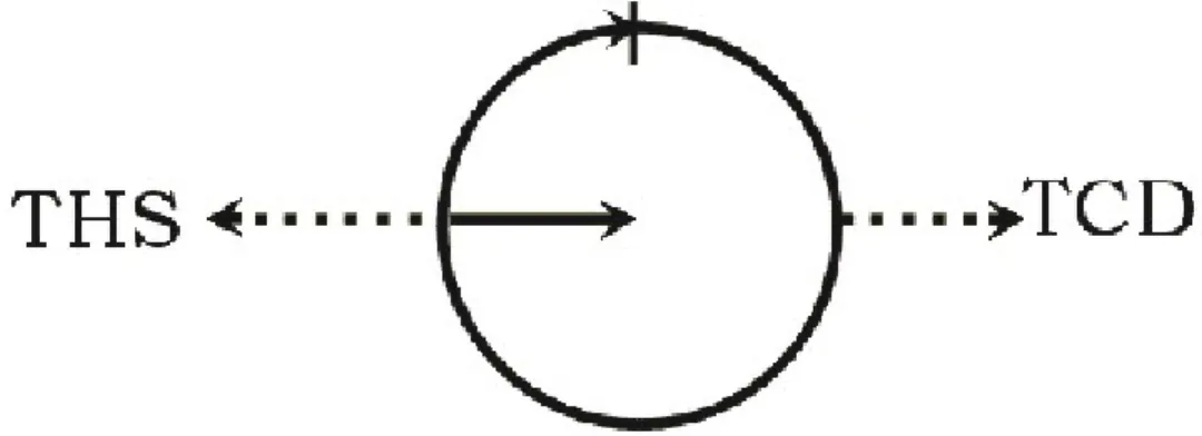 Figura 4. Concepción cíclica y lineal del tiempo.