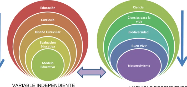 Gráfico II 