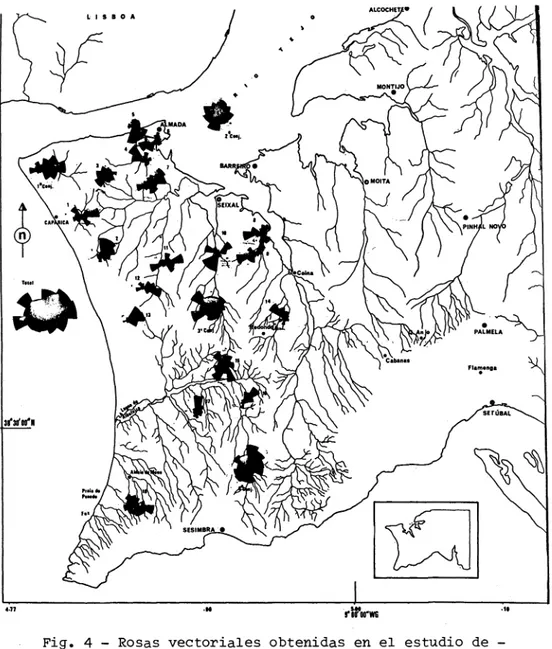 Fig. 4 - Rosas vectoriales obtenidas en el estudio de - -la imbricación de los cantos del conglomerado de Belverde