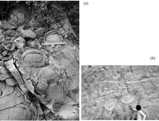 Fig. 1. Different spheroidal disjunction structures corresponding to igneous rocks. a) Phonolite from Gran Canaria, Spain; b) Granite from La Alberca, Salamanca, Spain (photo by courtesy of M
