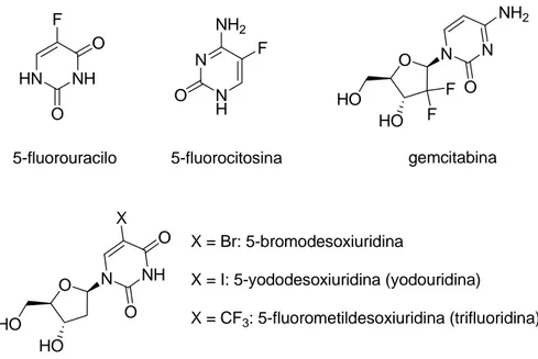 Figura 3: Antimetabolitos de ácidos nucleicos
