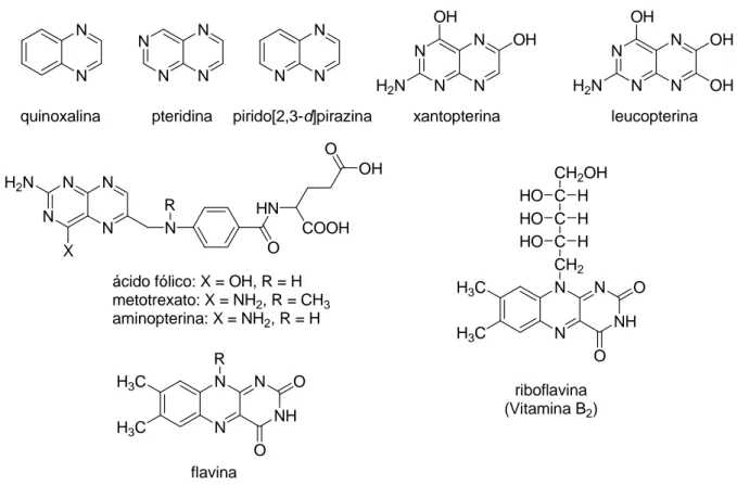 Figura 11: Ejemplos de pteridinas y análogos de importancia biológica 