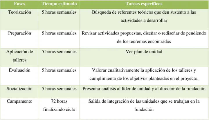Tabla 2 Fases plan de trabajo de la pasantía 