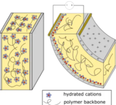 Figure 1: Ion motion when a potential diﬀerence is applied. Internal forces are generated inside the polymer, forcing the bending.