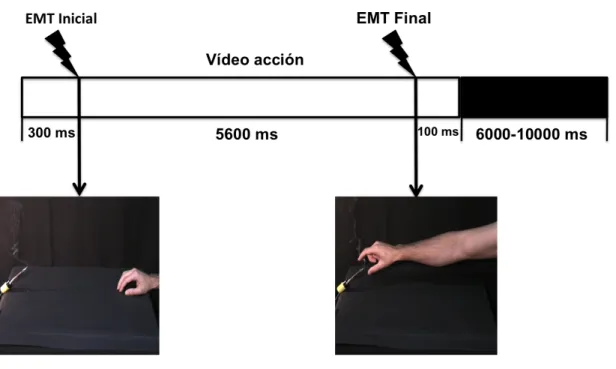 Figura  8  Protocolo  general  del  estudio.  El  la  figura  se  muestran  las  características  del  vídeo  presentado, y los instantes exactos en los que se aplicaba el pulso de EMT, en relación a la duración  total del vídeo