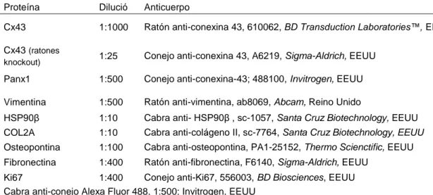 Tabla 3. Anticuerpos utilizados para la realización de las inmunofluorescencias. Se indica  la dilución utilizada para cada caso, referencia y casa comercial