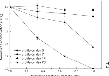 Figure 2.  a-Pinene profiles in the filter bed during  the startup of the biofilter.