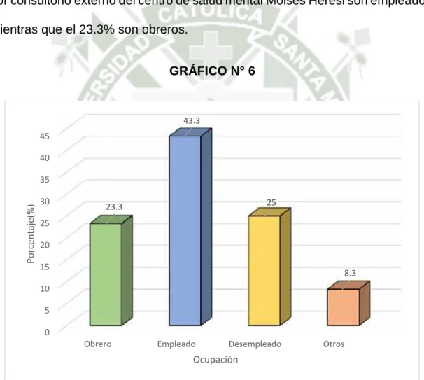 GRÁFICO N° 6 051015202530354045