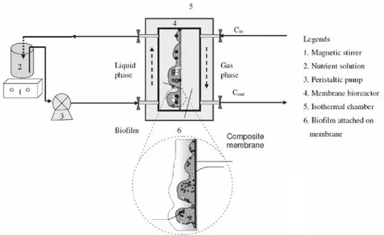 Figure 1. Experimental set-up of the membrane bioreactor.
