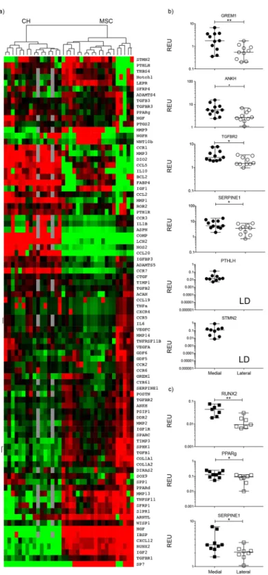 Figure 3.  Gene expression analysis of culture expanded, medial and lateral condyle derived MSCs and  chondrocytes