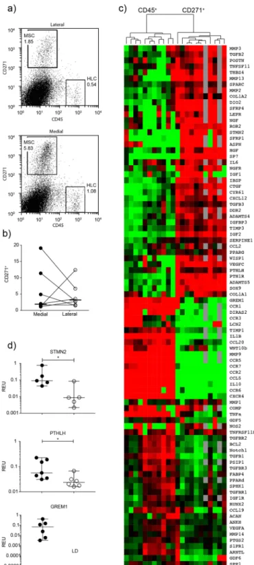 Figure 4.  Native subchondral bone MSCs gene expression analysis. (a) Flow cytometry dot plots illustrating  sorting gates for CD45 − CD271 +  MSCs and CD45 +  CD271 −  haematopoietic lineage cells (HLCs) together with  representative frequencies of MSCs a
