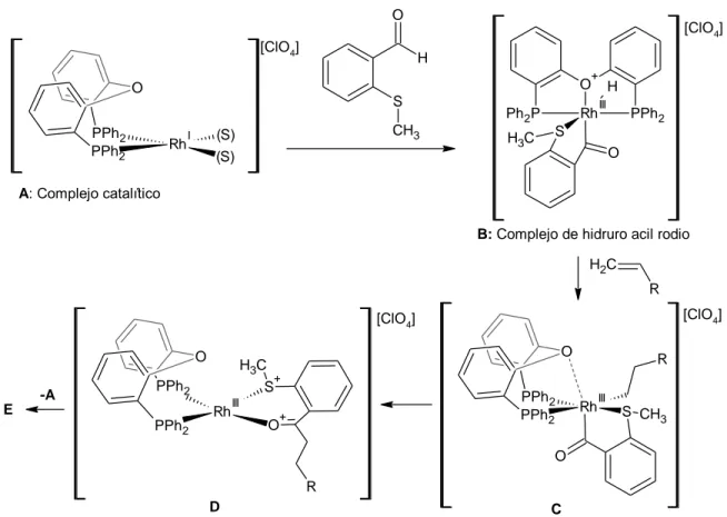 Figura 28. Mecanismo de reacción de la hidroacilación de alquenos con aldehídos β-S-sustituidos
