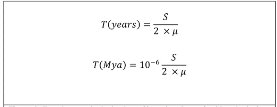 Figure 3. Equations to obtain the time of insertion. S= nucleotide substitutions  per site; µ= mutation rate; T=time