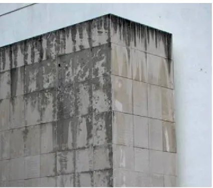 Figure 1. Irregular staining of limestone applied on a recent construction. 