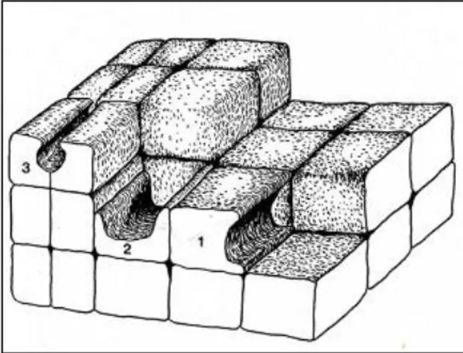 Tabla 1: Diferencias entre gnammas y marmitas 