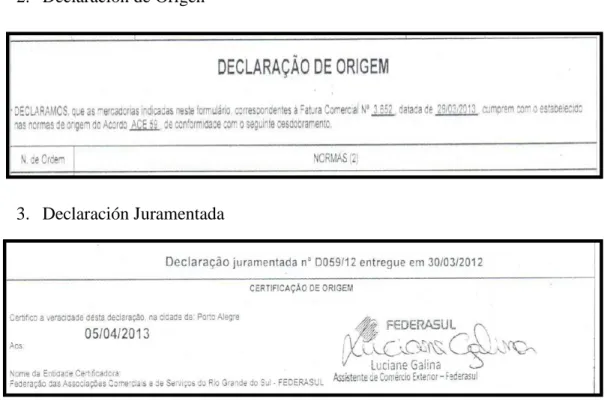 FIGURA 19. Estructura Certificado de Origen 